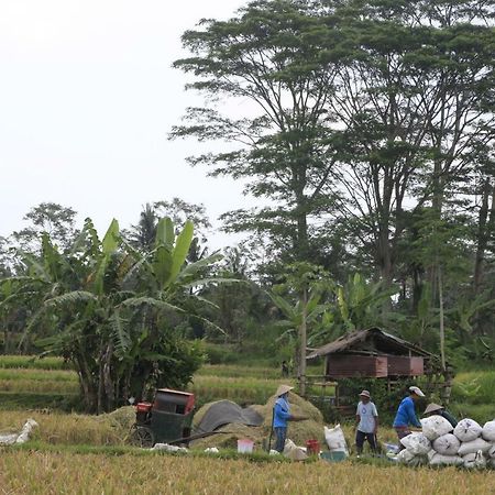 Pondok Gepokan Homestay Ubud  Luaran gambar