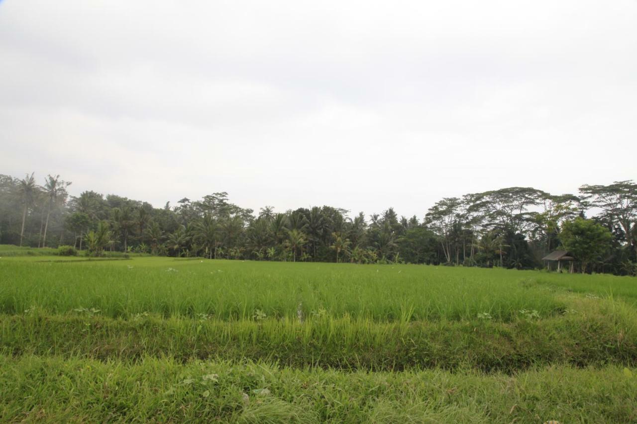 Pondok Gepokan Homestay Ubud  Luaran gambar