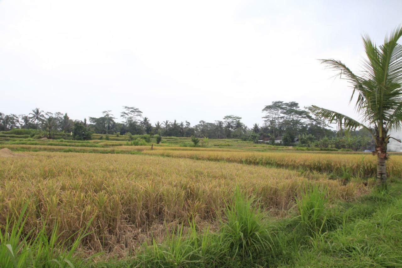 Pondok Gepokan Homestay Ubud  Luaran gambar