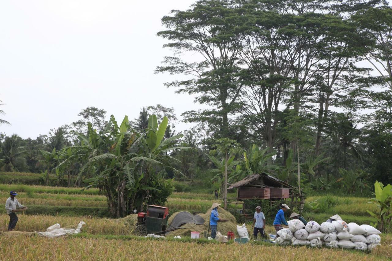 Pondok Gepokan Homestay Ubud  Luaran gambar