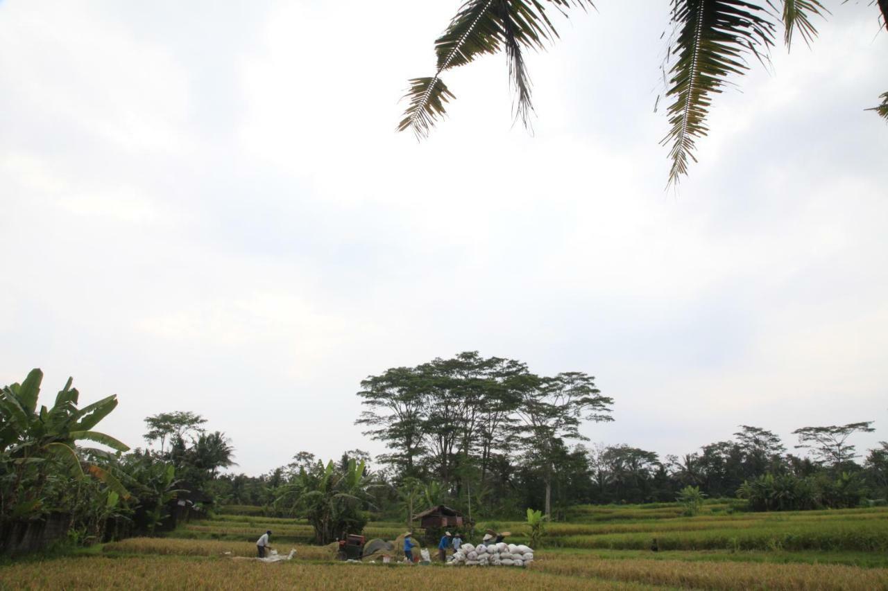 Pondok Gepokan Homestay Ubud  Luaran gambar
